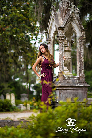 Bonaventure Cemetery